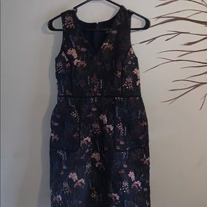 Ann Taylor dress 6P